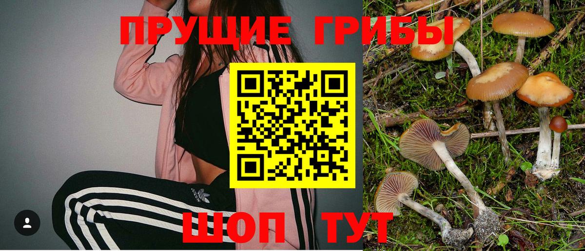 Саранск  Галлюциногенные грибы Psilocybine cubensis  Вход с VPN 